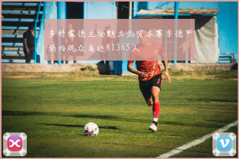 多特蒙德主场魅力无穷本赛季德甲场均观众高达81365人